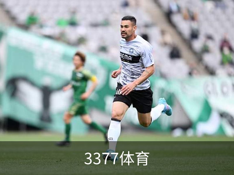 3377体育概况